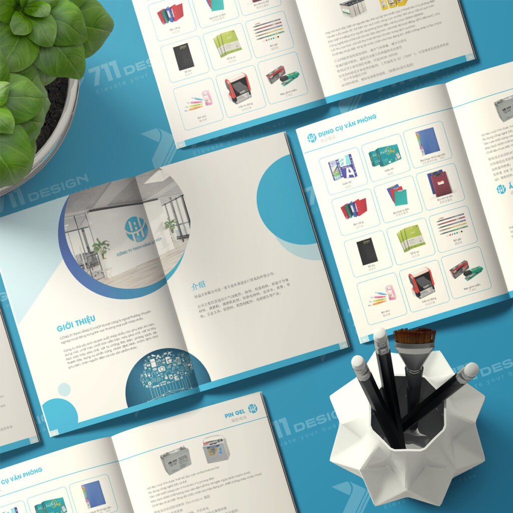 hồ sơ năng lực là gì