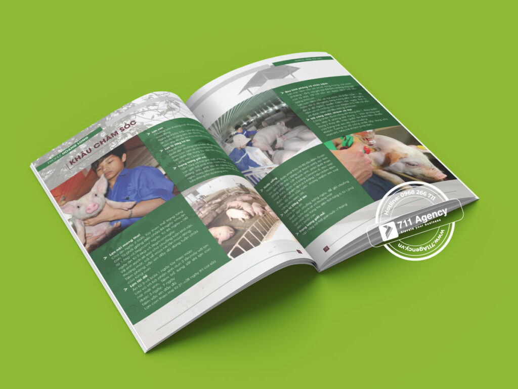 Hồ sơ năng lực ngành thực phẩm