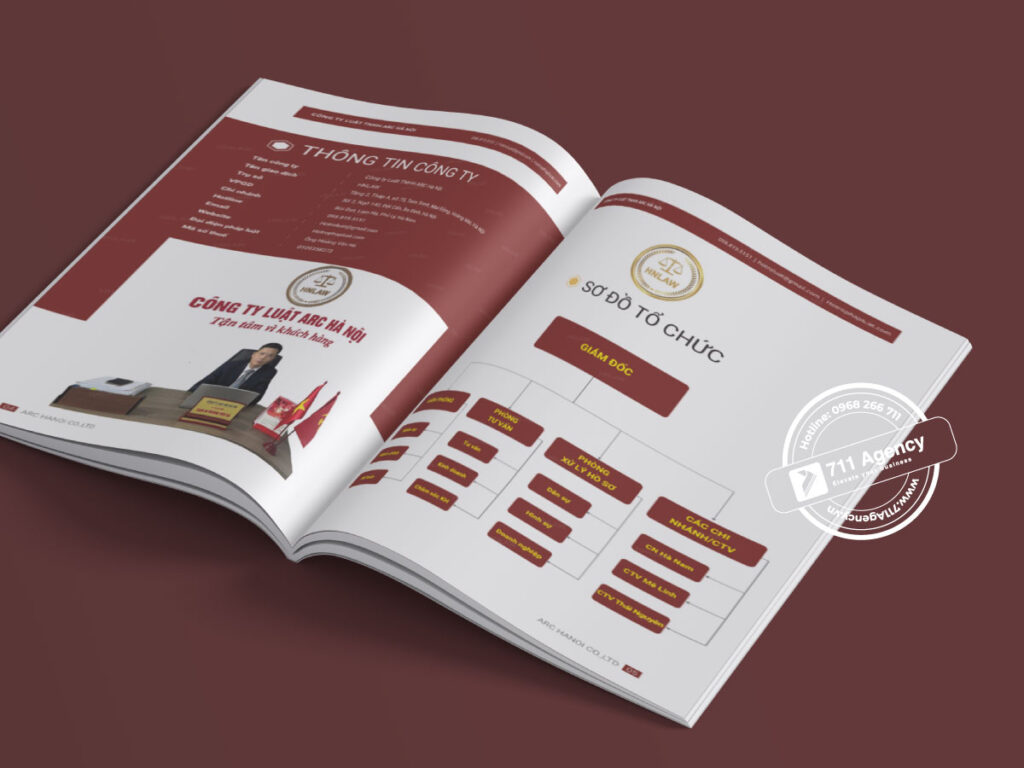 hồ sơ năng lực công ty luật