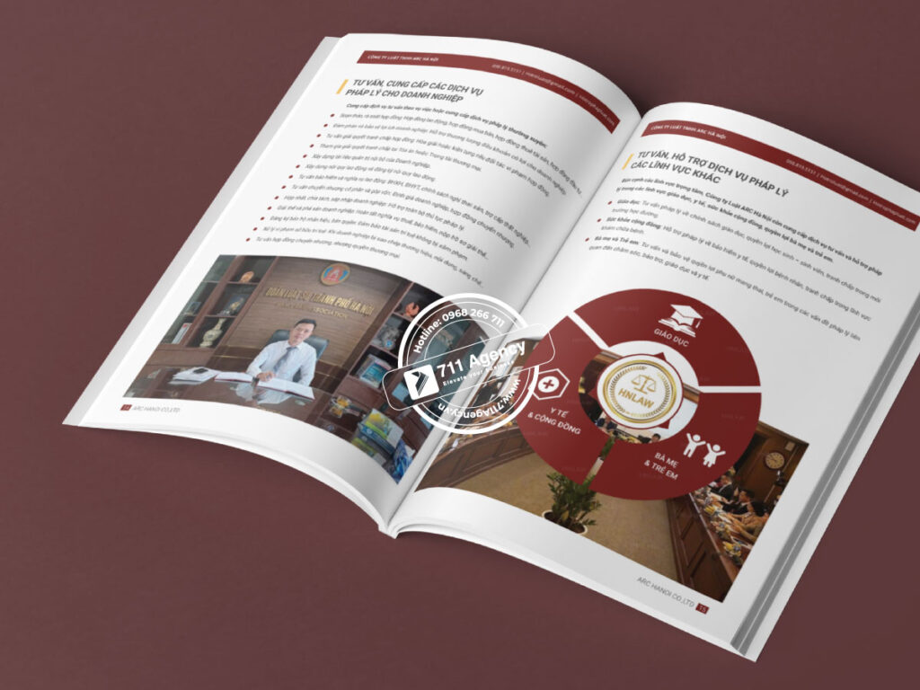 hồ sơ năng lực công ty luật